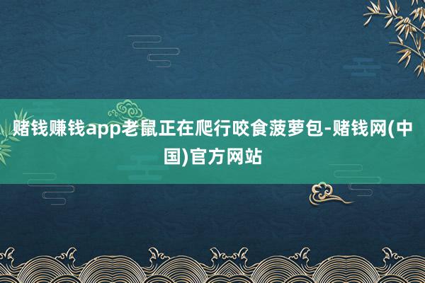 赌钱赚钱app老鼠正在爬行咬食菠萝包-赌钱网(中国)官方网站