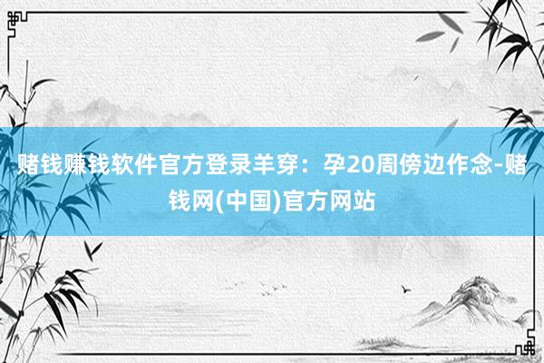 赌钱赚钱软件官方登录羊穿：孕20周傍边作念-赌钱网(中国)官方网站