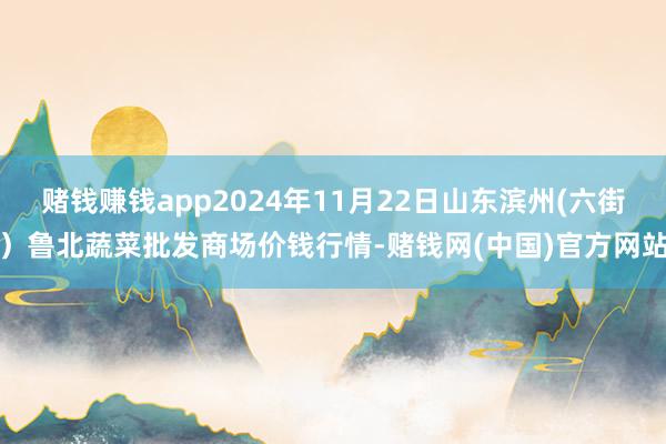 赌钱赚钱app2024年11月22日山东滨州(六街)鲁北蔬菜批发商场价钱行情-赌钱网(中国)官方网站