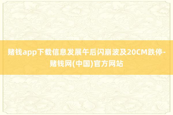 赌钱app下载信息发展午后闪崩波及20CM跌停-赌钱网(中国)官方网站