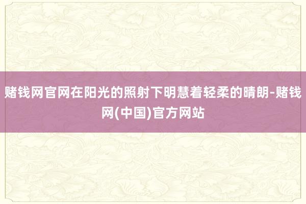 赌钱网官网在阳光的照射下明慧着轻柔的晴朗-赌钱网(中国)官方网站