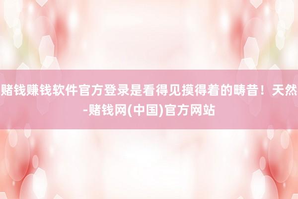赌钱赚钱软件官方登录是看得见摸得着的畴昔！天然-赌钱网(中国)官方网站