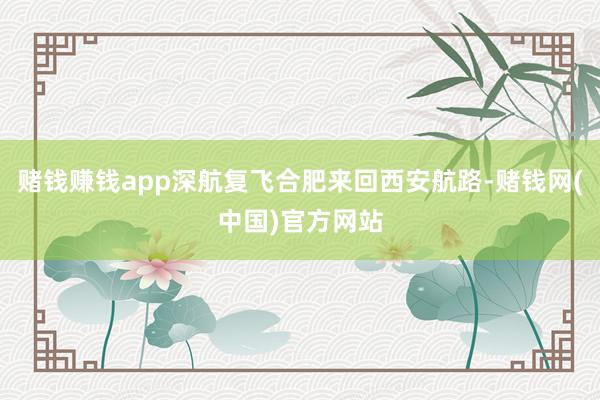 赌钱赚钱app深航复飞合肥来回西安航路-赌钱网(中国)官方网站