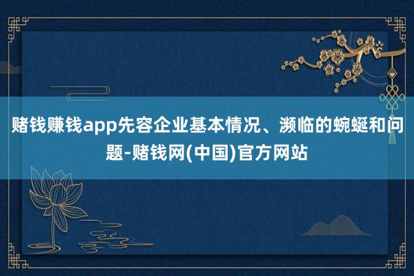 赌钱赚钱app先容企业基本情况、濒临的蜿蜒和问题-赌钱网(中国)官方网站