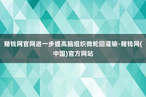 赌钱网官网进一步提高脑组织微轮回灌输-赌钱网(中国)官方网站